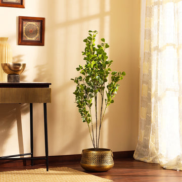 Faux Schefflara Plant , 4 Feet