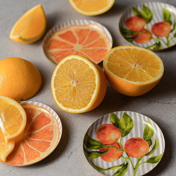 Tangerine and Zest Coasters