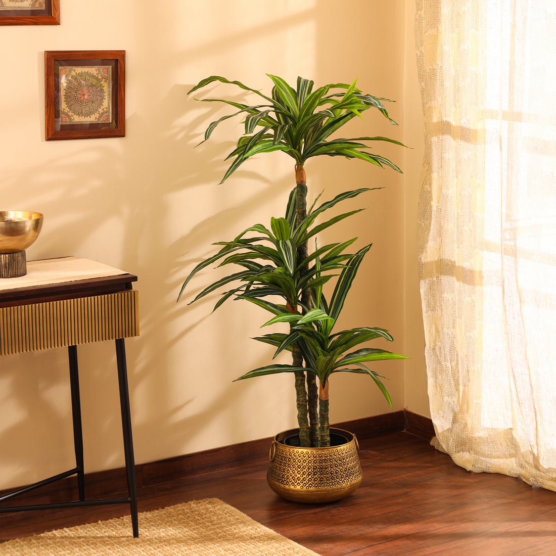 Faux Variegated Dracaena Plant, 5 feet