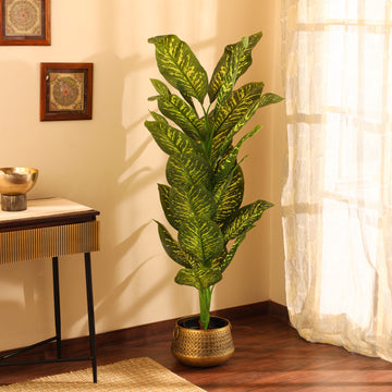 Faux Pink Dieffenbachia Potted Plant, 5.5 Feet