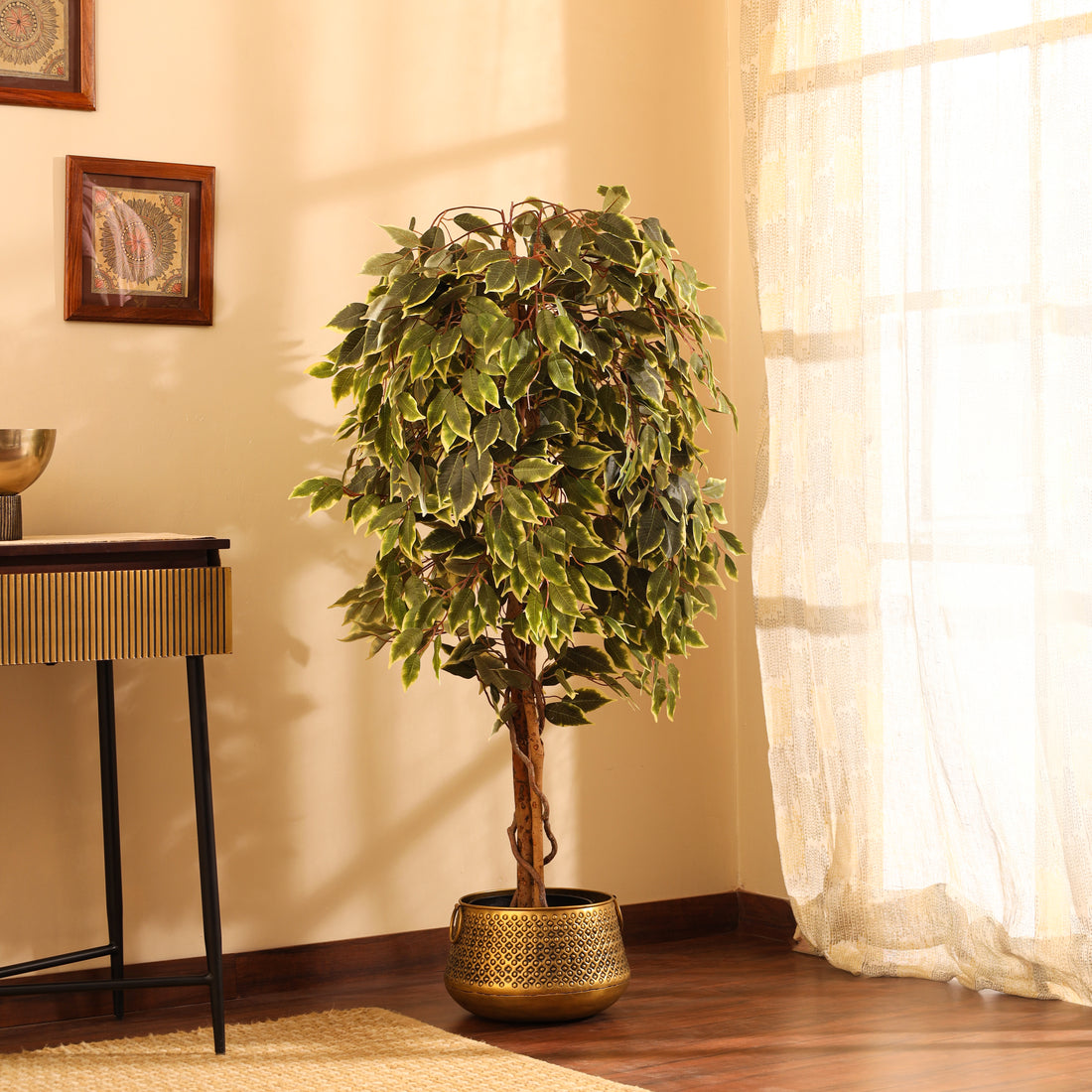 Faux Variegated Ficus Plant, 5 Feet