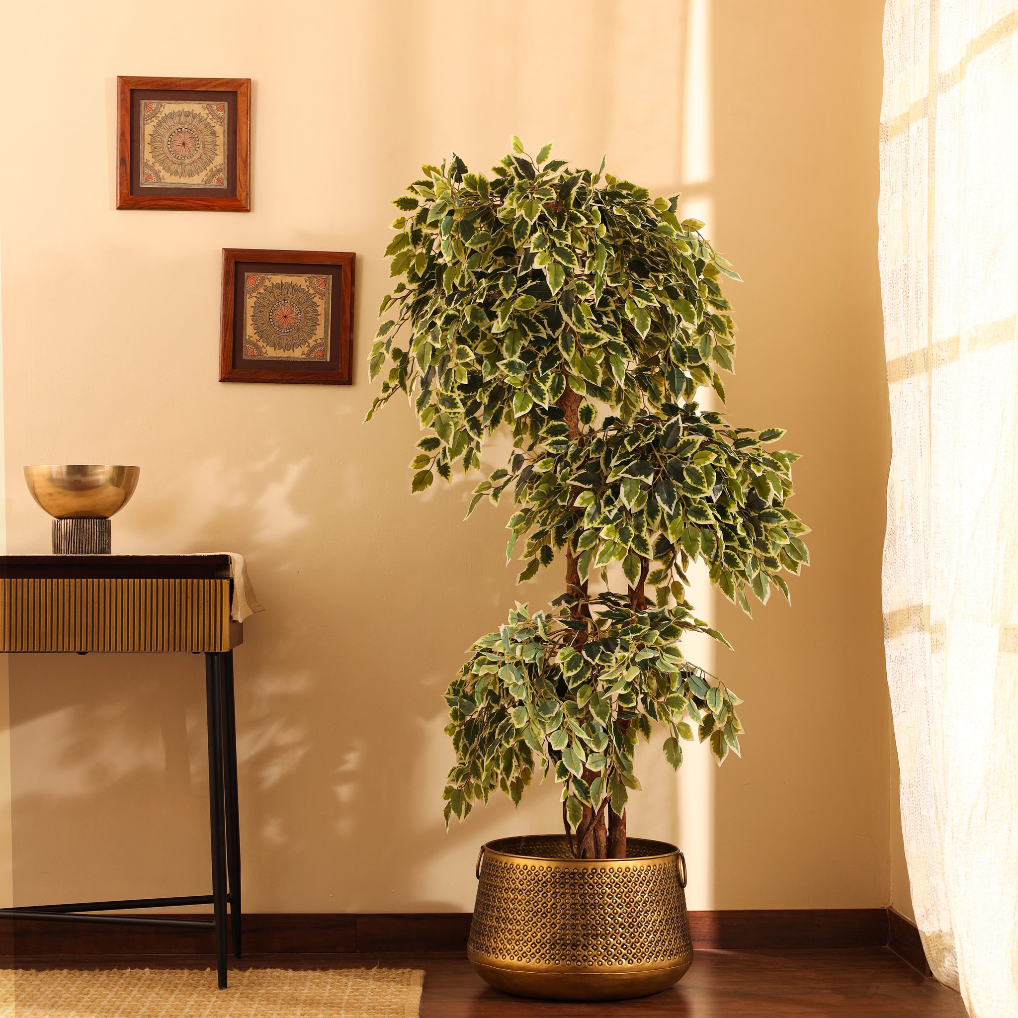 Faux Variegated Ficus Bonsai, 5.5 feet