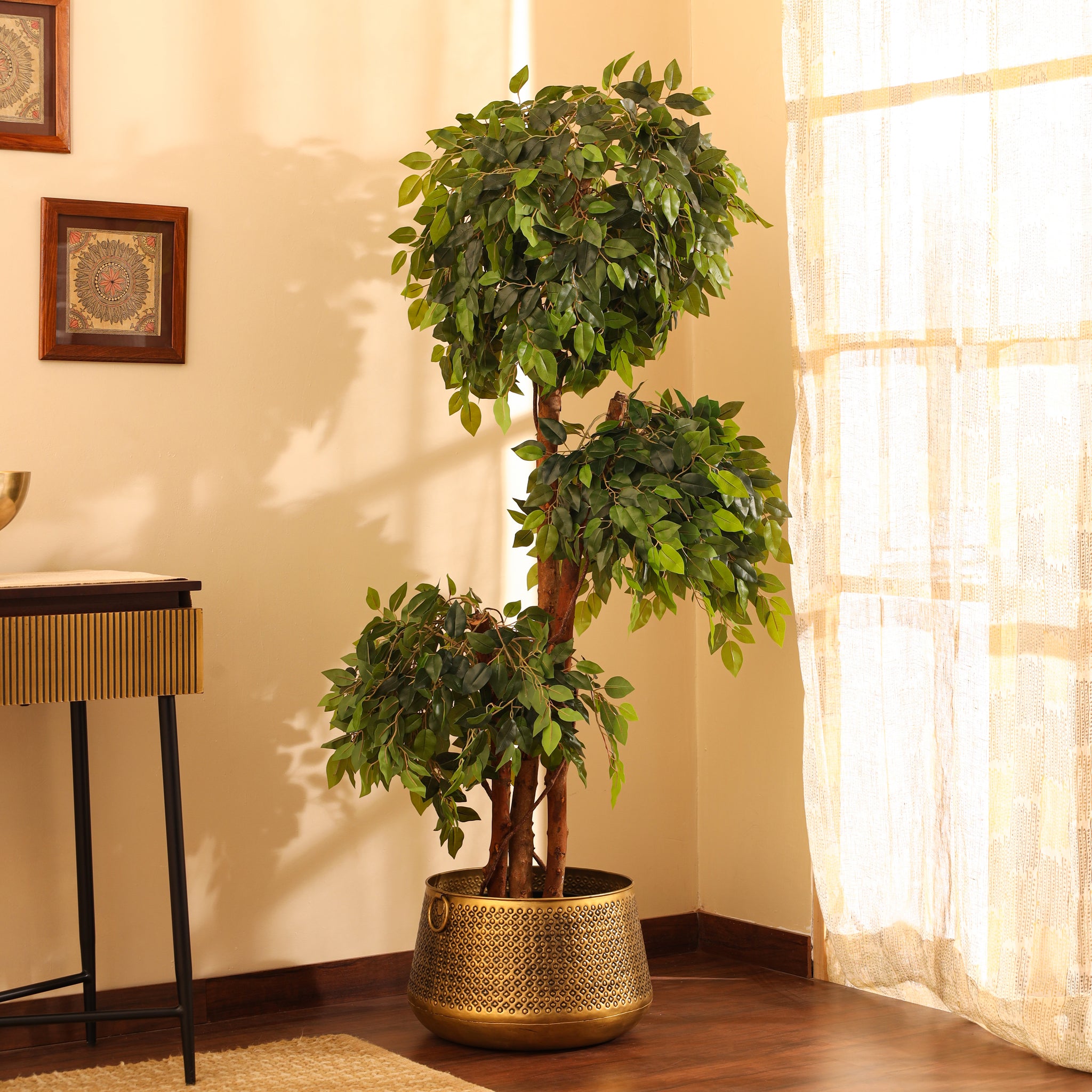 Faux Ficus Bonsai, 5.5 feet