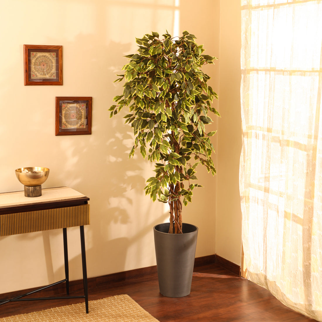 Faux Variegated Ficus Plant, 6 Feet