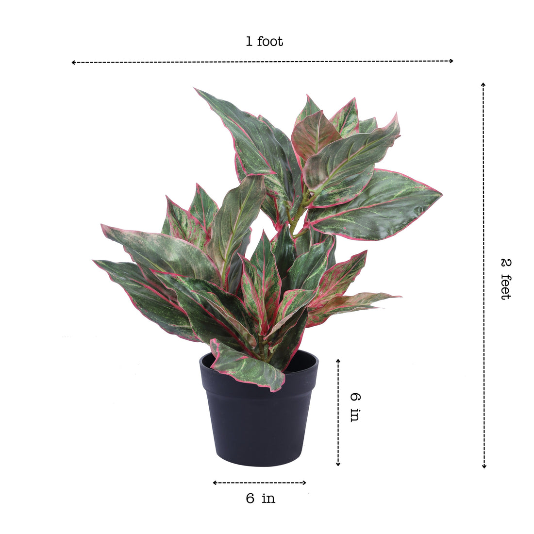 Faux Pink Dieffenbachia Potted Plant, 2 Feet
