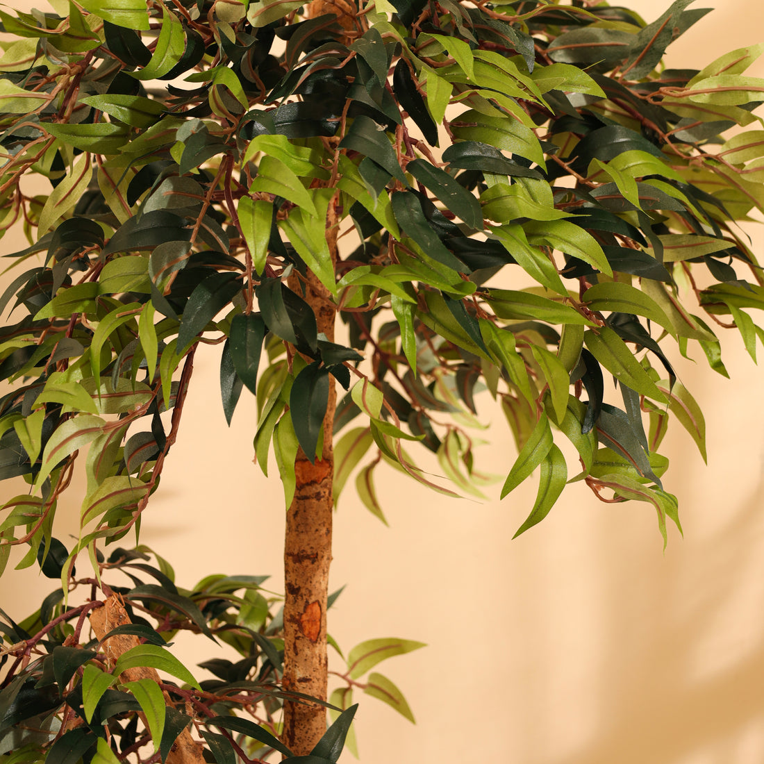 Faux Ficus Bonsai, 4 feet