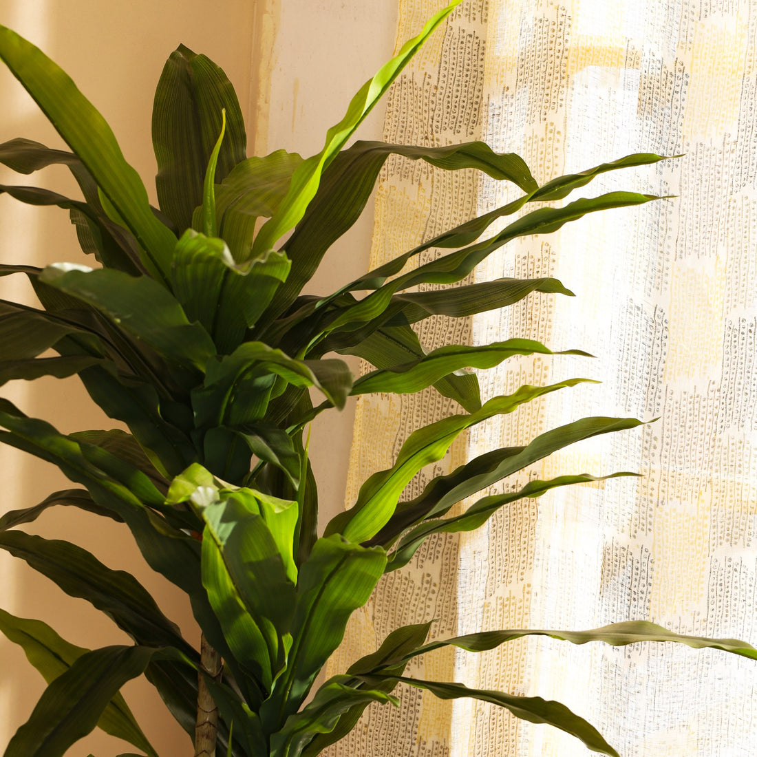 Faux Dracaena Plant, 6 Feet