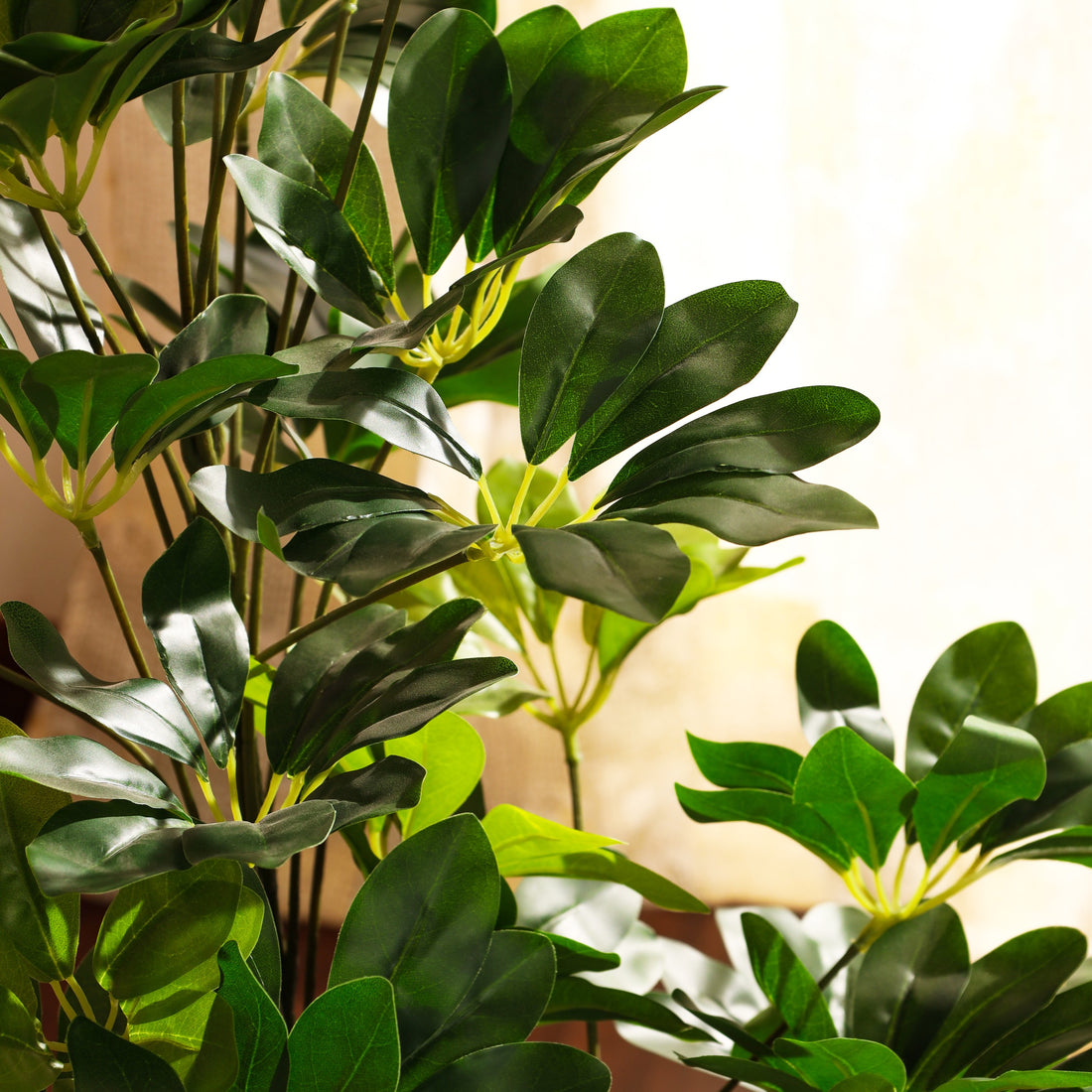 Faux Schefflara Plant , 3 Feet