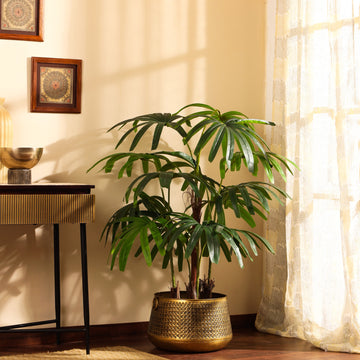 Faux Rhapis Palm Tree , 5 Feet