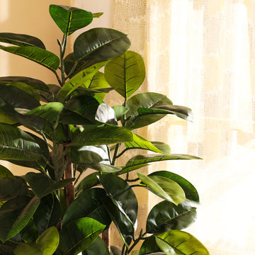 Faux Rubber Tree , 5 Feet