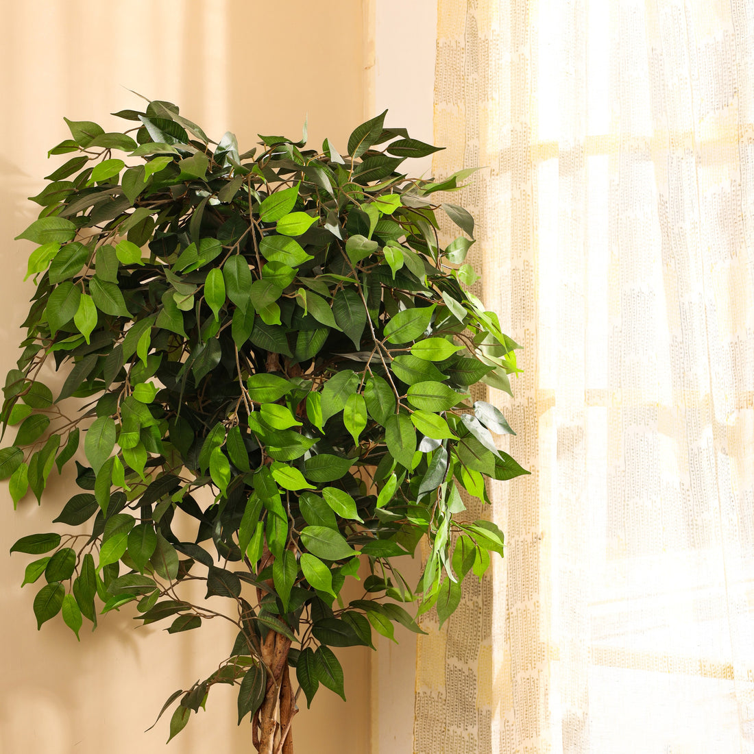 Faux Ficus Plant, 6 Feet