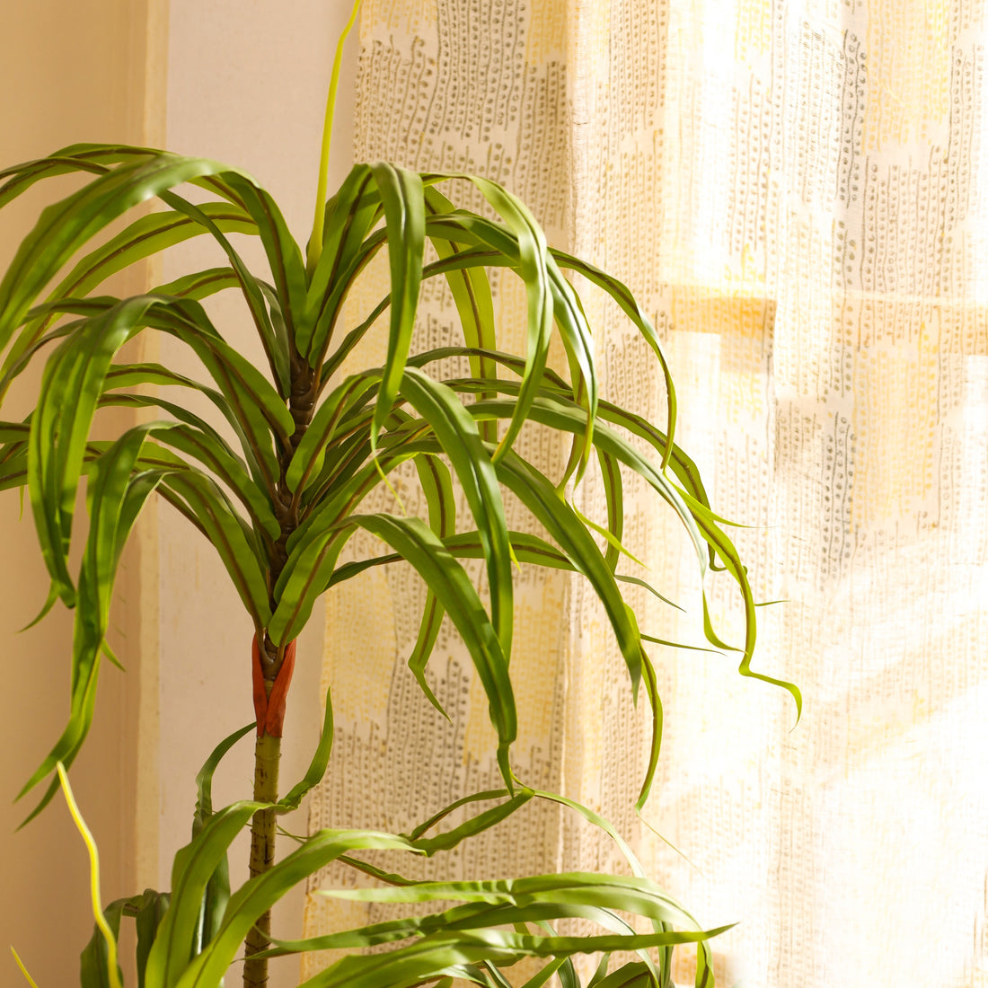 Faux Dracaena Plant, 5 feet
