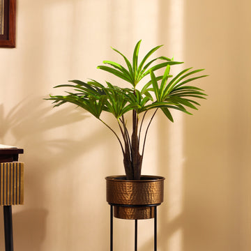 Faux Rhapis Palm Tree , 2 Feet
