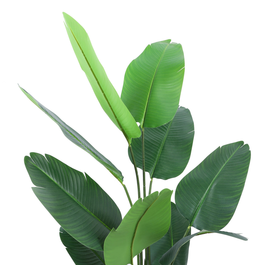 Faux Banana Tree, 5.2 feet