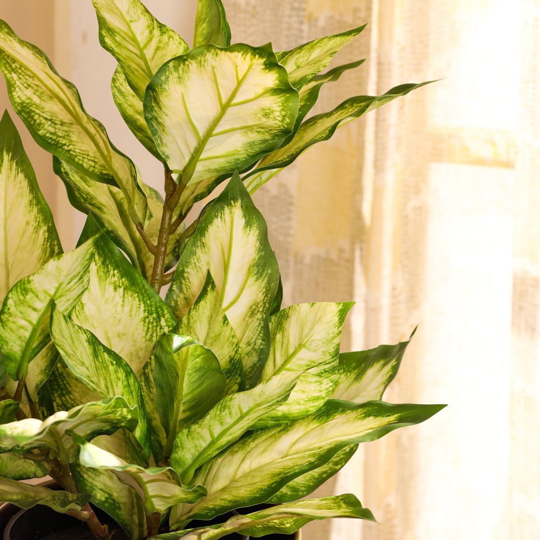 Faux Green Dieffenbachia Potted Plant, 2 Feet