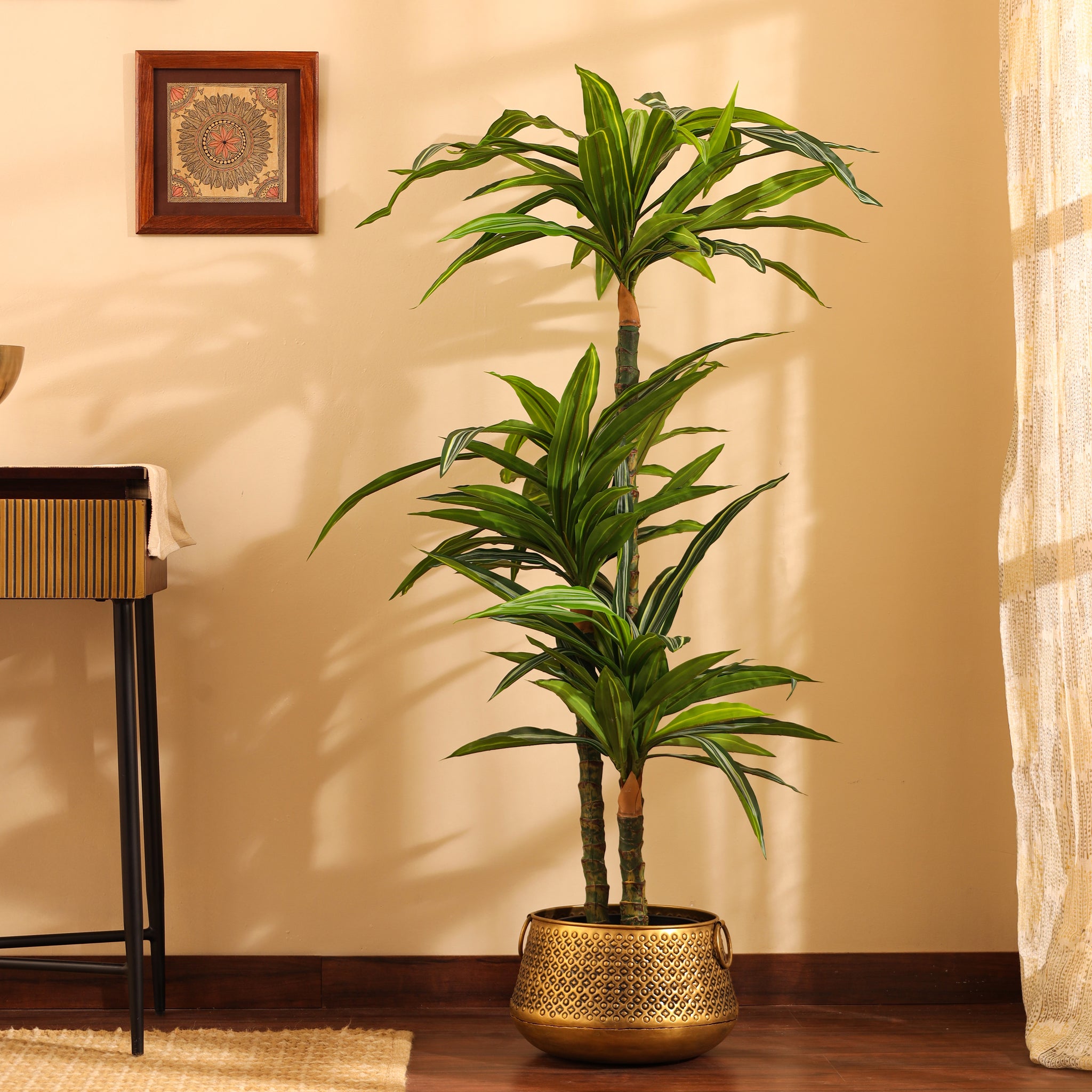 Faux Variegated Dracaena Plant, 5 feet