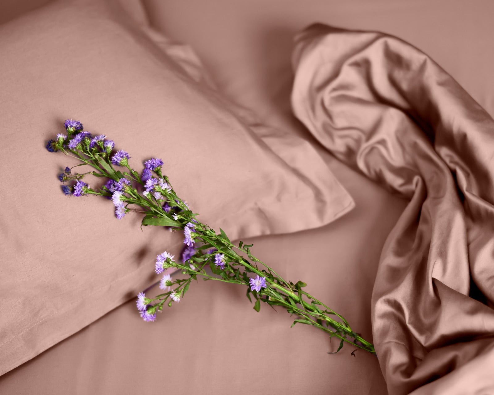 Solid 100% Organic Cotton Flat Sheet Set, Sand