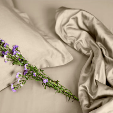 Solid 100% Organic Cotton Flat Sheet Set, Champagne
