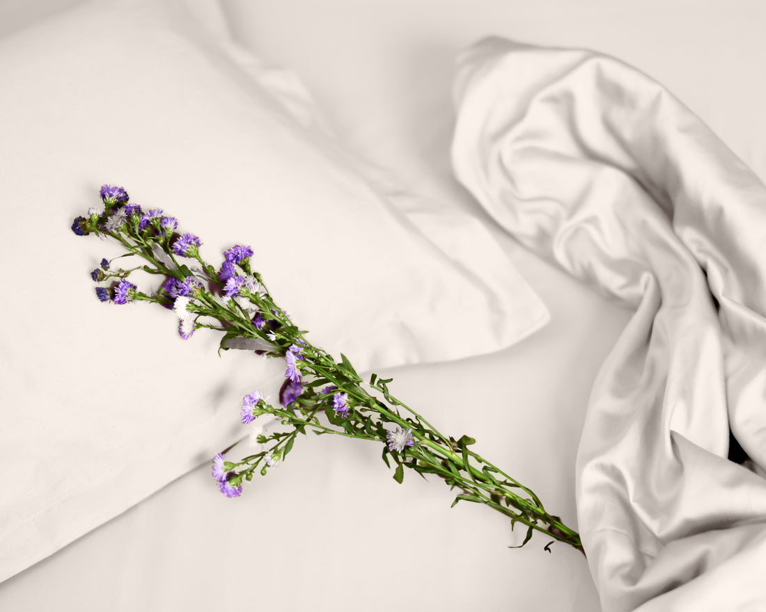 Solid 100% Organic Cotton Flat Sheet Set, Ivory